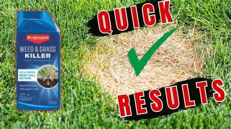 cheapest weed killer for large areas
